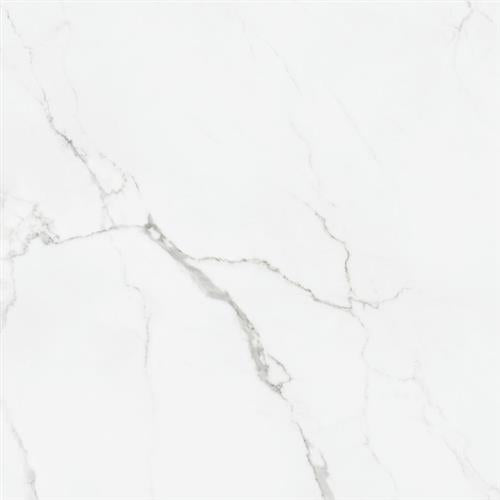 Happy Floors Statuario Tile in Statuario