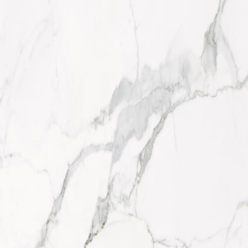 Happy Floors Statuario Tile in Statuario