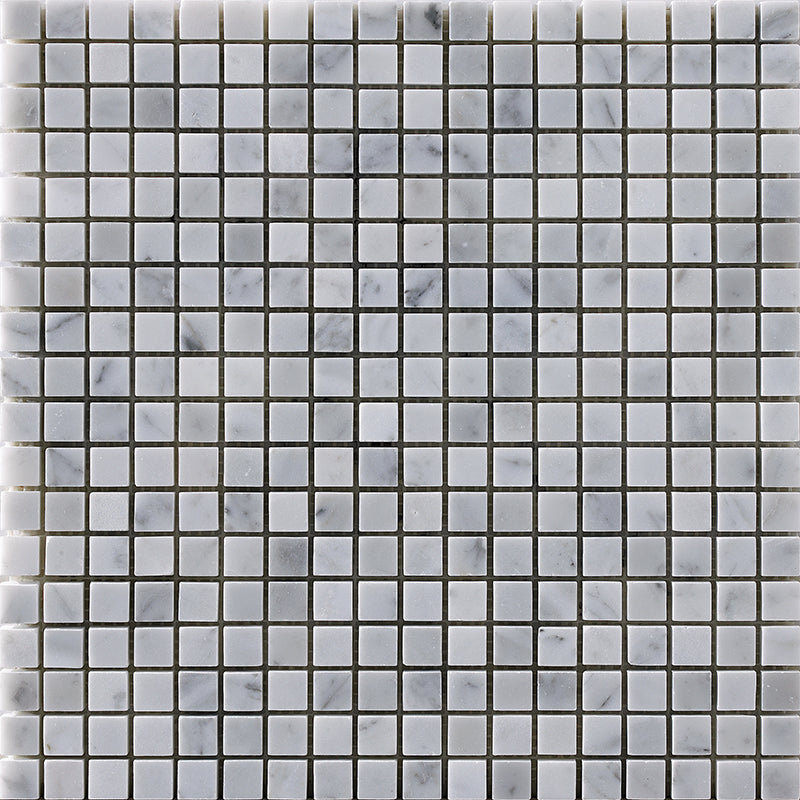 Happy Floors Stone & Marble Tile in Carrara